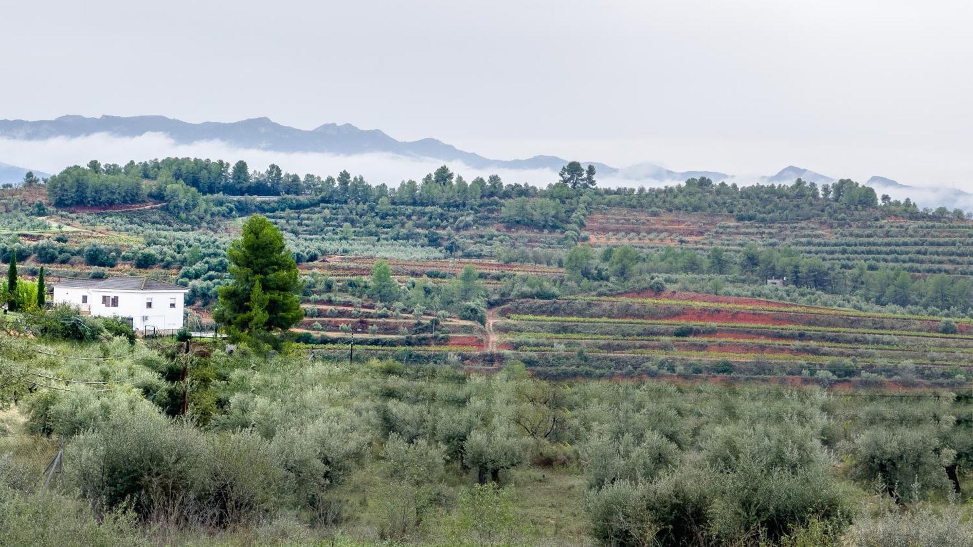 Camins Del Priorat : Ermita Sant Gregori Bis Διαμέρισμα El Masroig Εξωτερικό φωτογραφία